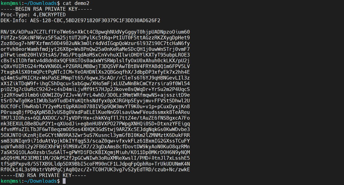 Image of the terminal displaying the contents of the demo2 private key