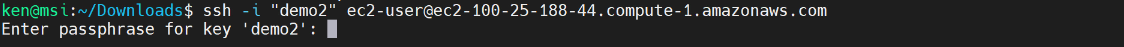 Image of the terminal displaying the SSH connection string using the demo2 private key