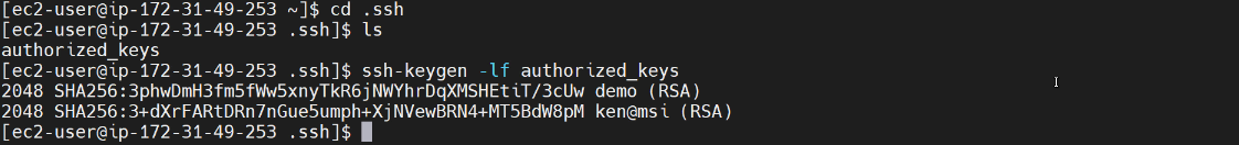 Image of the terminal displaying the output of the ssh-keygen command