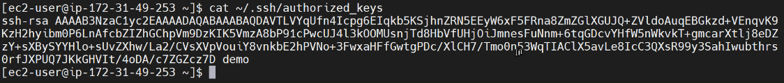 Image of the terminal with a successful SSH connection