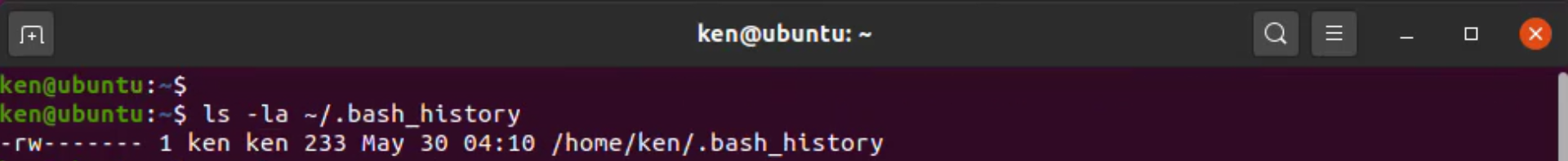 Listing the BASH history file using ls